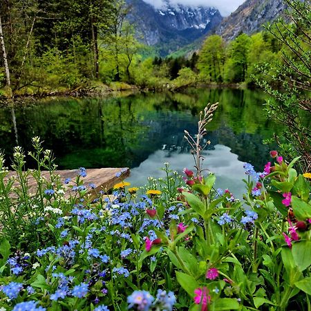 Ferienlounge Bluntausee Golling an der Salzach Exterior foto